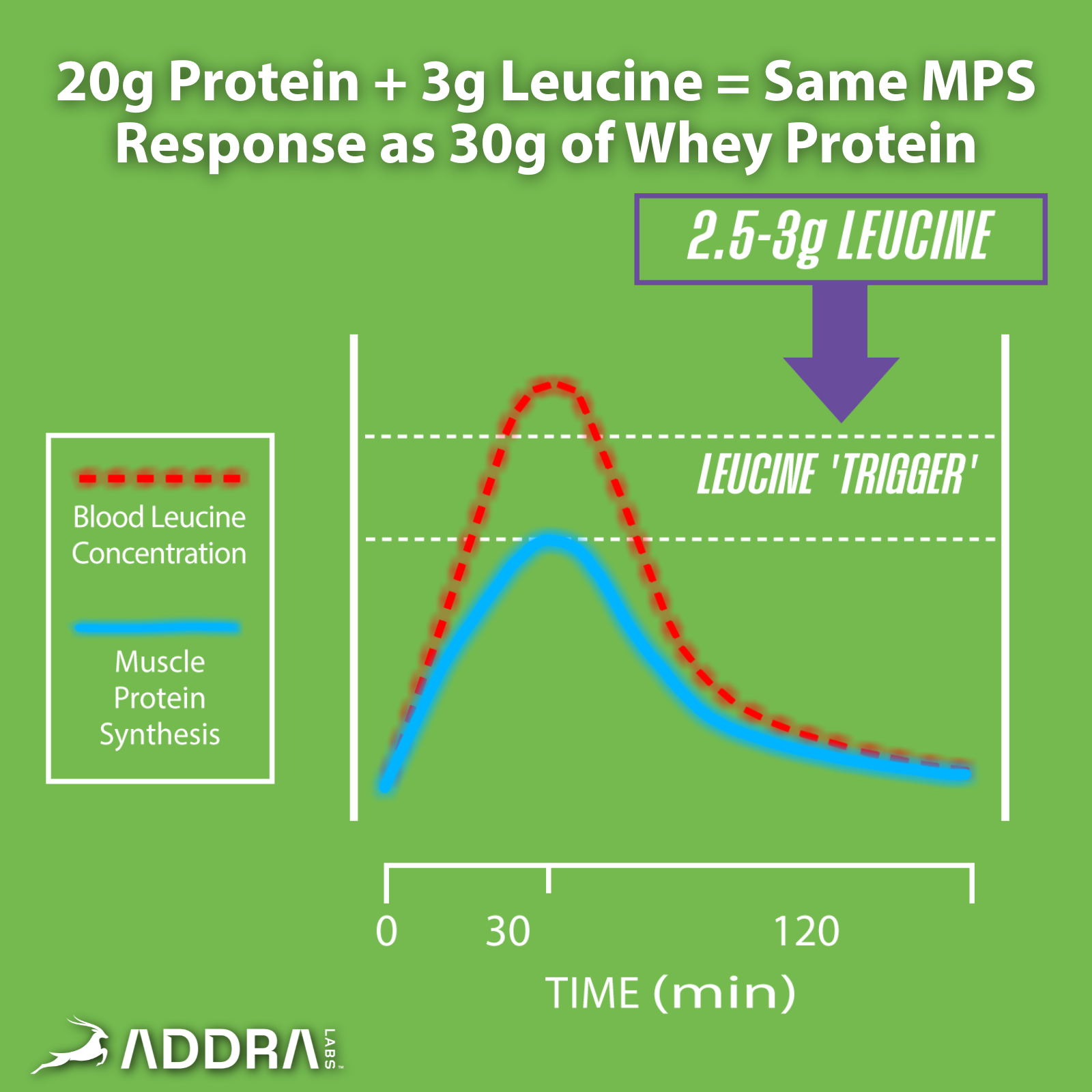 Apple Pie Protein Bar (20g)
