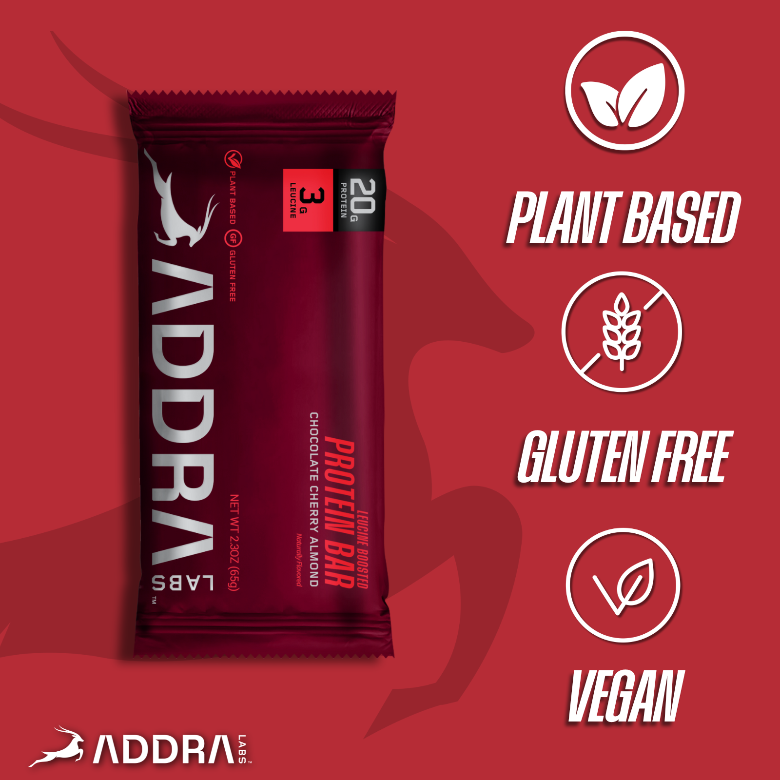 Chocolate Cherry Almond Protein Bar (20g)