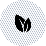 Naturally Flavored Protein Bars Icon