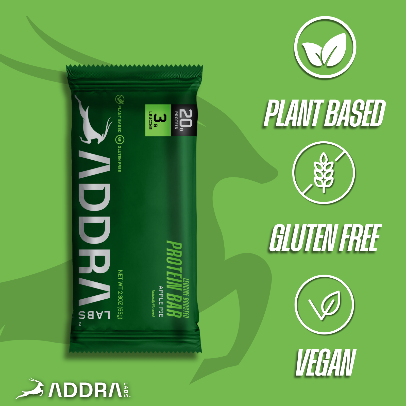 Apple Pie Protein Bar (20g)
