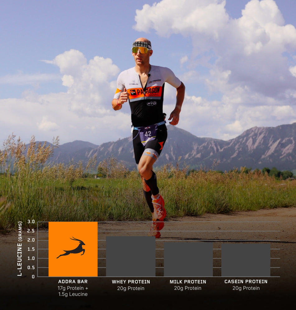 Addra Bar Leucine levels vs other protein sources